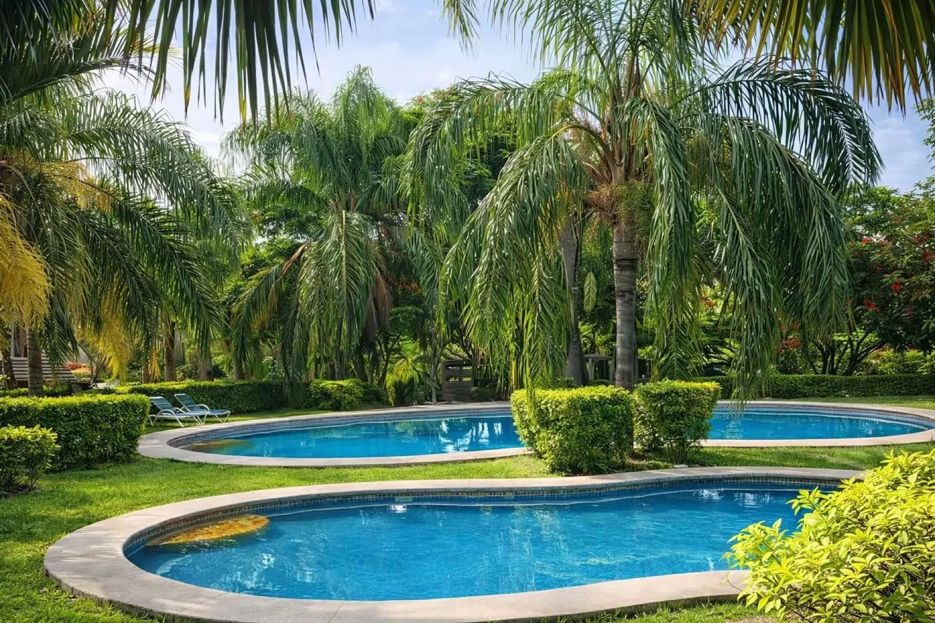 Albercas rodeadas de palmeras y jardines en Rancho Ixtla Las Palmas