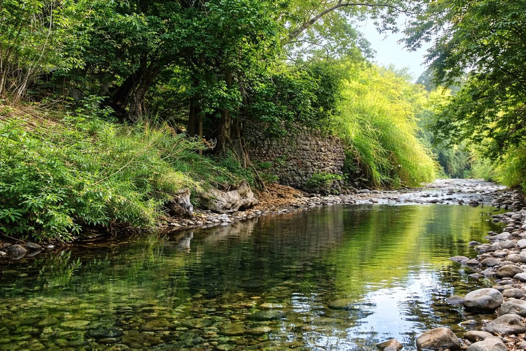 Paisaje natural con agua, piedras y vegetación cerca del rancho